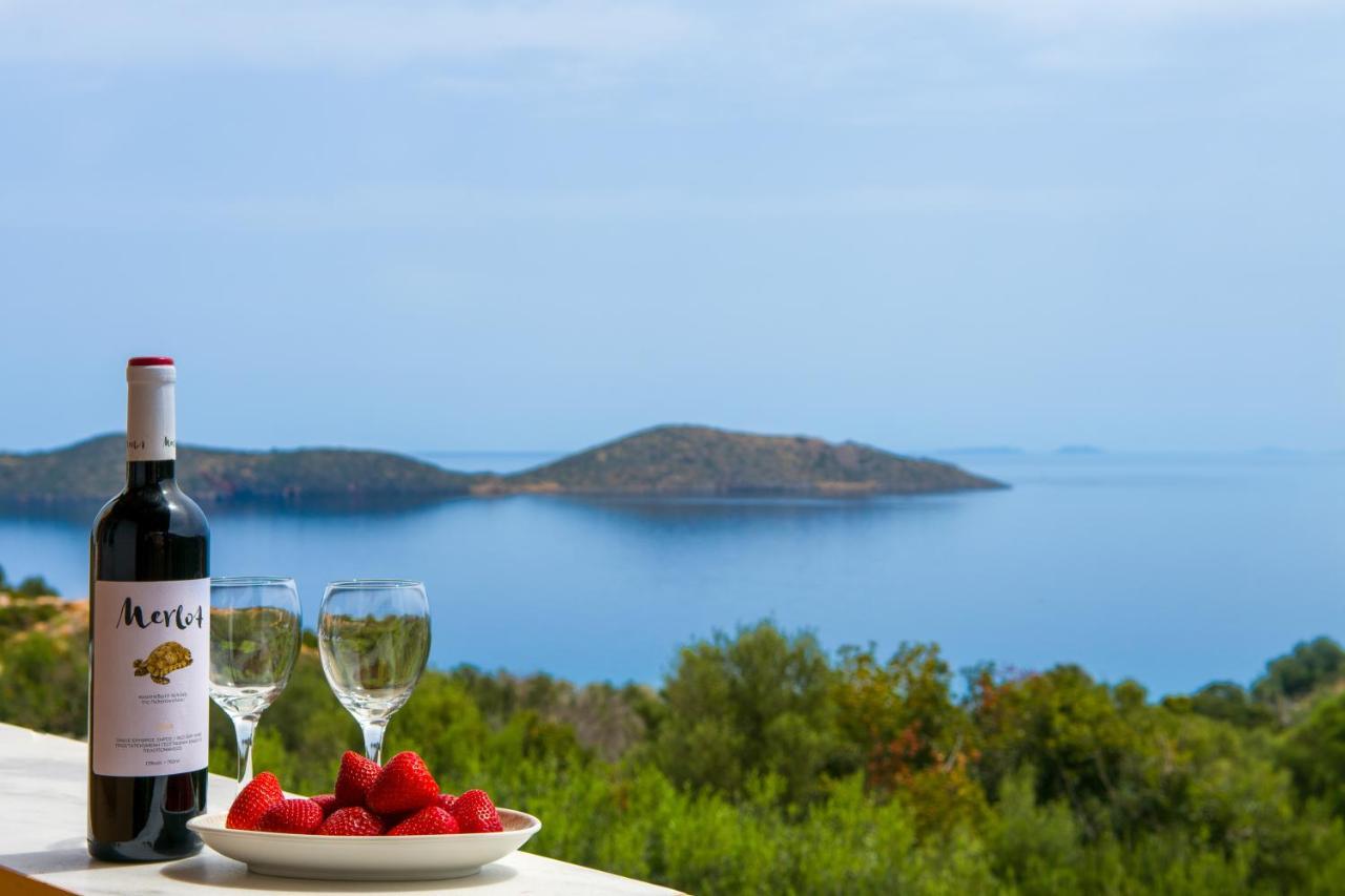 Elounda Anemelia Apartments Bagian luar foto