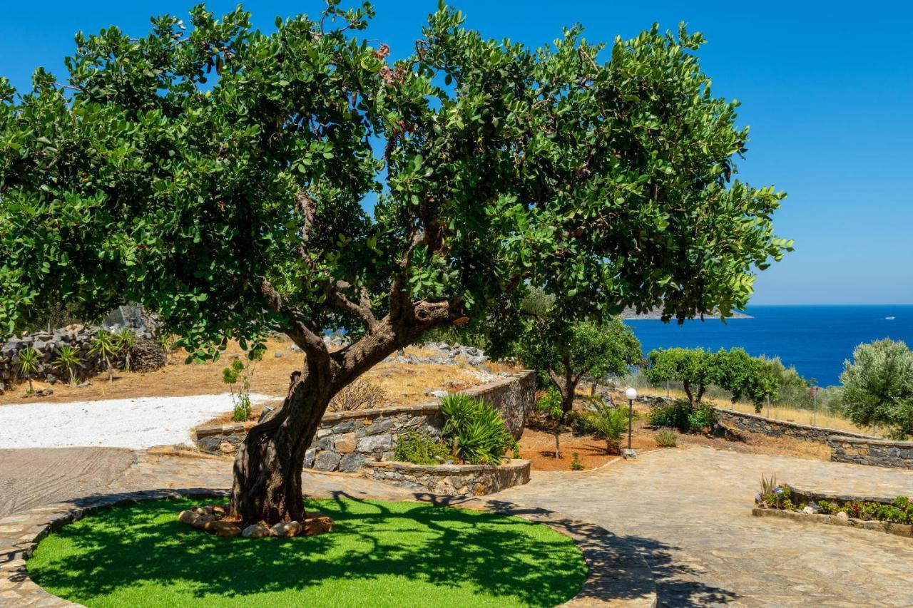 Elounda Anemelia Apartments Bagian luar foto